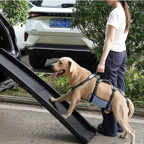 Chien monte coffre voiture rampe harnais de levage pour chien