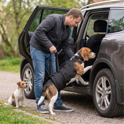 Chien monte voiture arrière harnais de levage pour chien