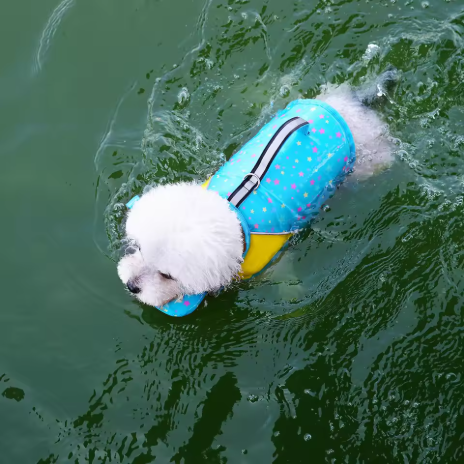 Chien nage gilet de flottaison pour chien