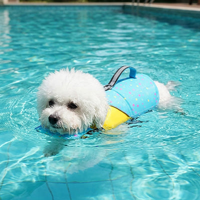 Chien nage piscine gilet de flottaison pour chien
