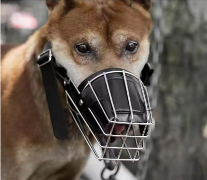 Chien neige muselière pour chien cuir