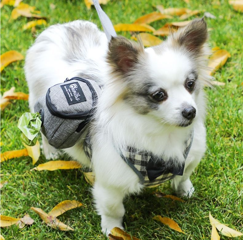 Chien porte distributeur de sac gris