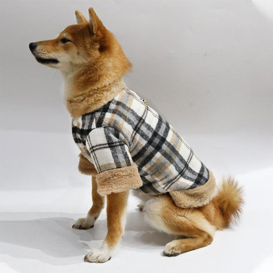 chien profil manteau pour chien