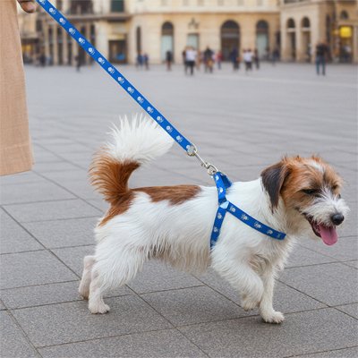 chien promener place public harnais pour chien bleu