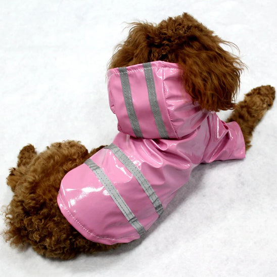 chien repose manteau pour chien rose