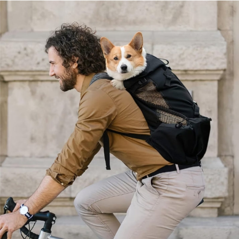 Chien sac à dos pour petit chien faisant vélo