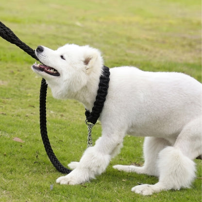 Chien tire laisse pour chien robuste noir