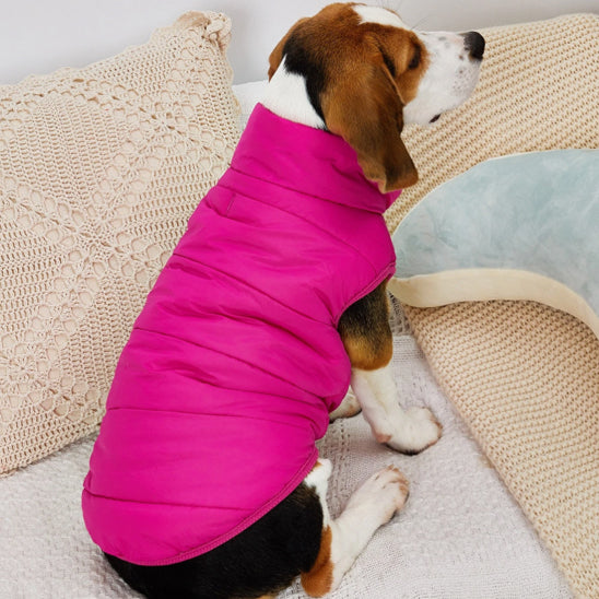 chien tourne dos manteau pour chien fuchsia
