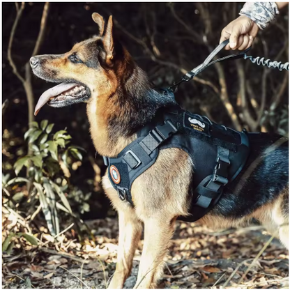 Chien travail harnais chien