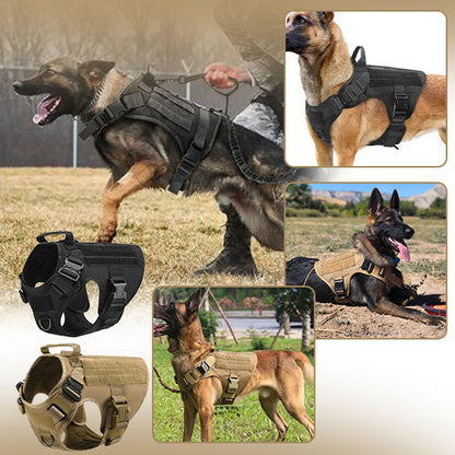 chien travail harnais tactique pour chien