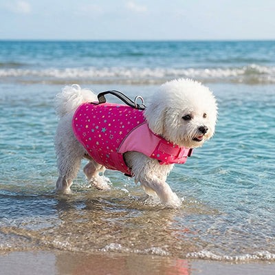Chien trottine plage sable rescue gilet de flottaison pour chien