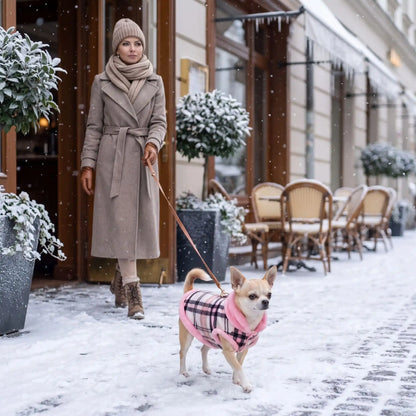 Chien trottoir neige manteau pour chien