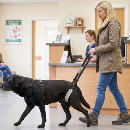 Chien vétérinaire harnais de soutien pour chien