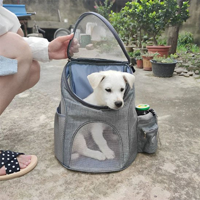 Chiot sart du Sac à dos pour chien 