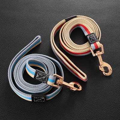 City lead Laisse pour Chien exposition rouge bleu