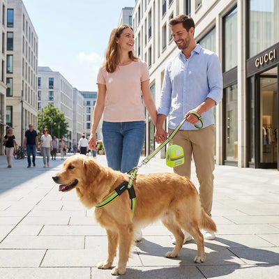 Citywalk couple promène chien harnais chien noir