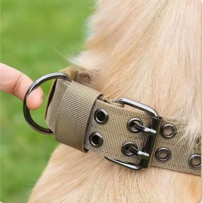 collier chien aventurier brun nouveau