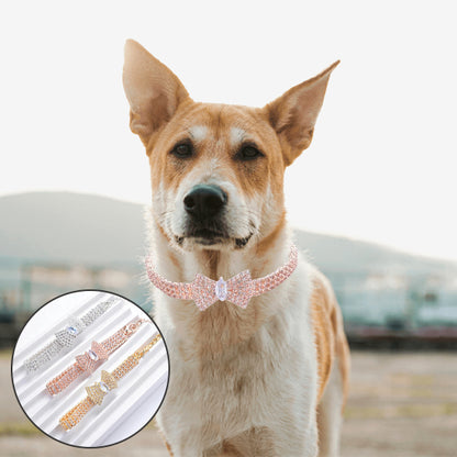 collier chien collier or rose