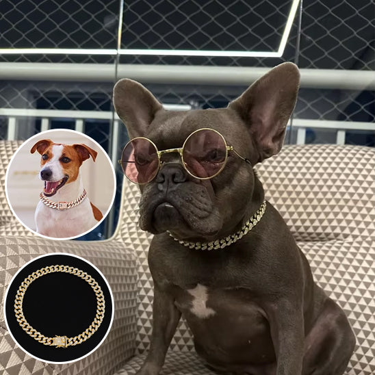 collier chien deux chiens