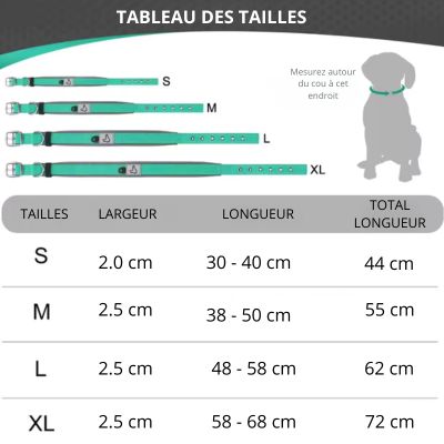 collier chien duke longueur