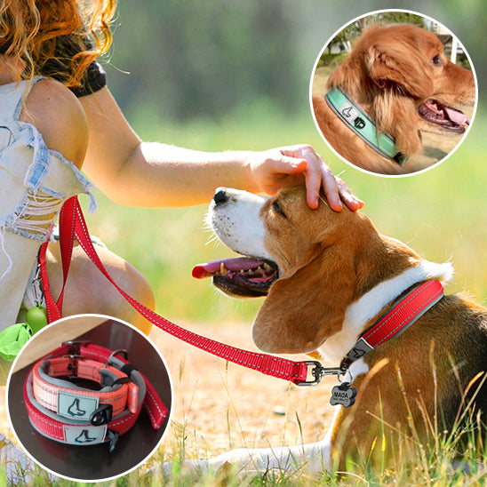 collier chien duke rouge vert