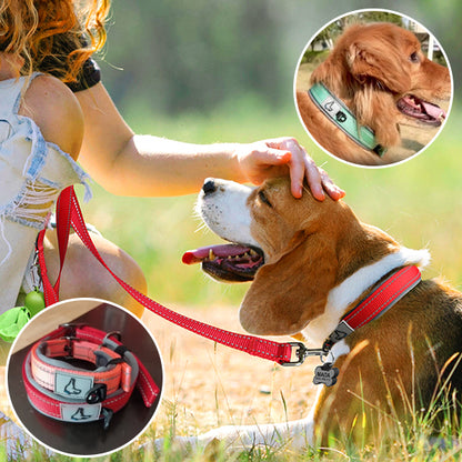 collier chien duke rouge vert