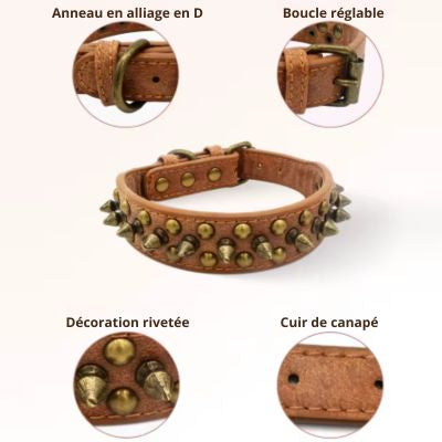 Collier chien fonctionnalités