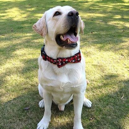 collier chien gentleman rouge