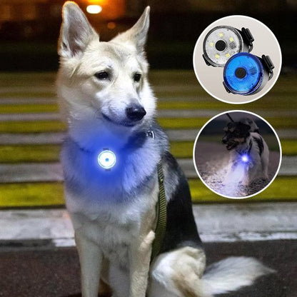 Collier chien luminosité led