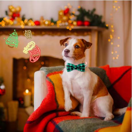 collier chien maison decor noel