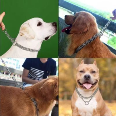 collier chien métallique différente race chien