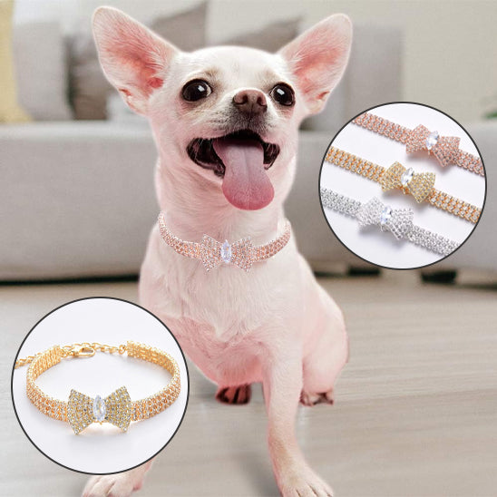 collier chien nœud papillon trois couleurs