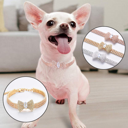 collier chien nœud papillon trois couleurs