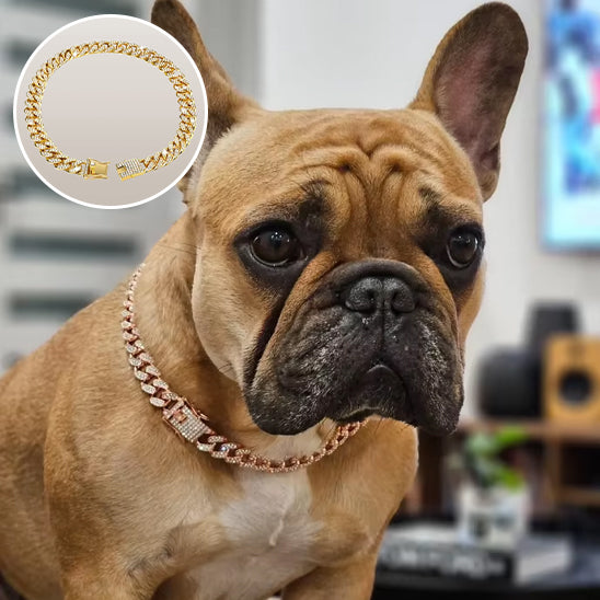 collier chien or rose chien bouledogue 
