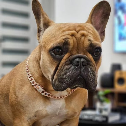 collier chien or rose