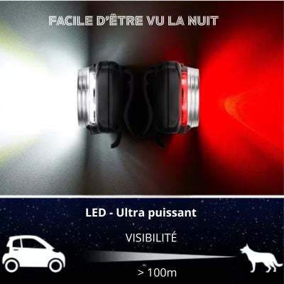 Collier chien pendentif éclairage 100m