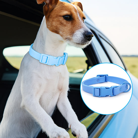 collier chien pvc bleu fenetre voiture