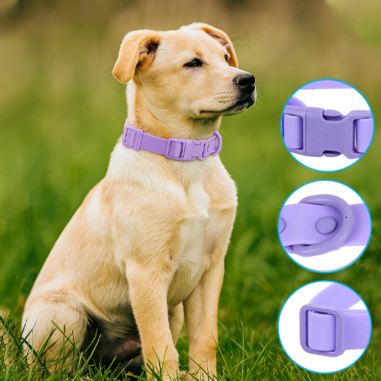 collier chien pvc mauve gros plan