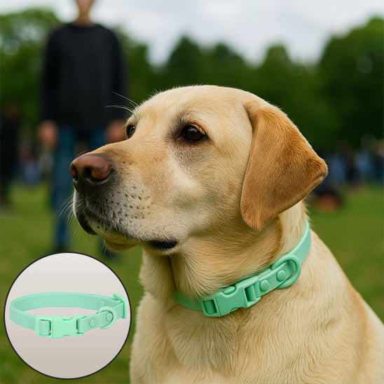 collier chien pvc vert clair