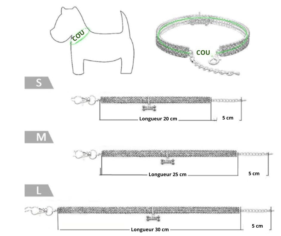 collier chien trois tailles differente