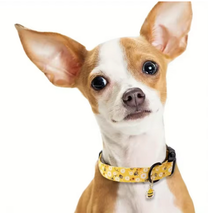 Collier chiot haute qualité ajustable