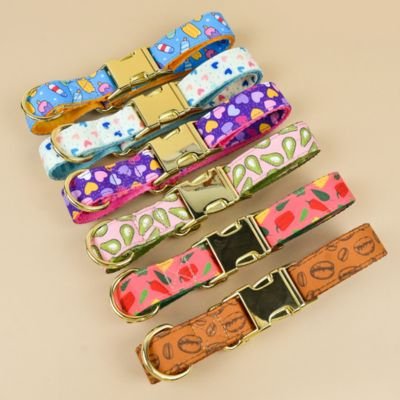 Collier chiot palette couleurs