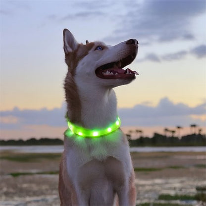 Collier lumineux chien ajustable éblouissant vert
