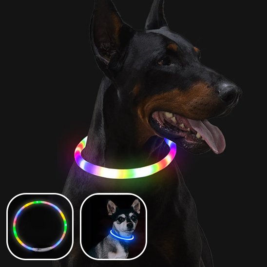 Collier lumineux chien look multicolore