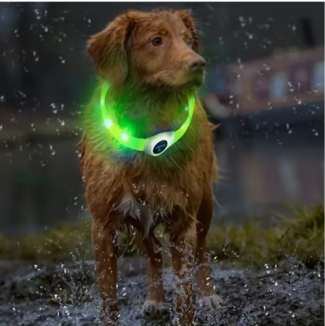 Collier lumineux chien pvc découpable
