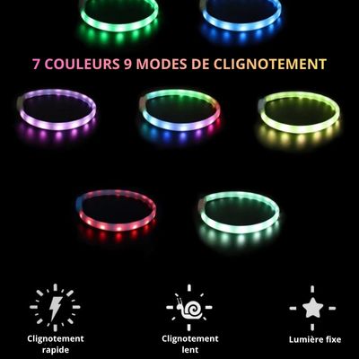 collier lumineux chien sept couleurs
