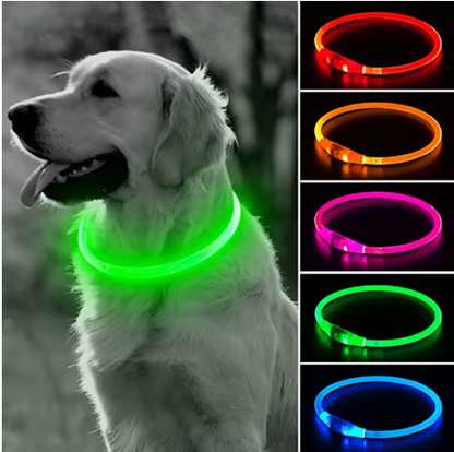 Collier lumineux chien toutes couleurs