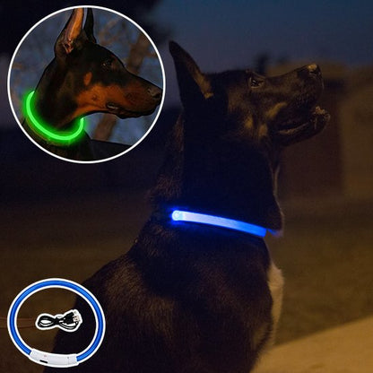 Collier lumineux chien visibilité nuit