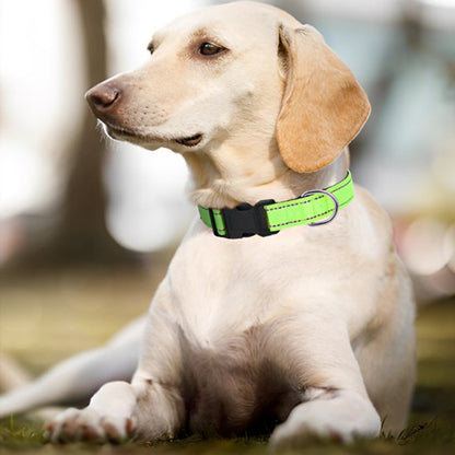 Collier pour chien ajustable léger
