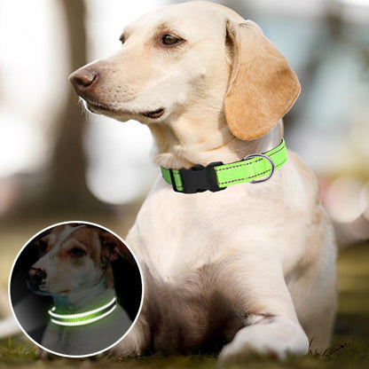 Collier pour chien bande réfléchissante